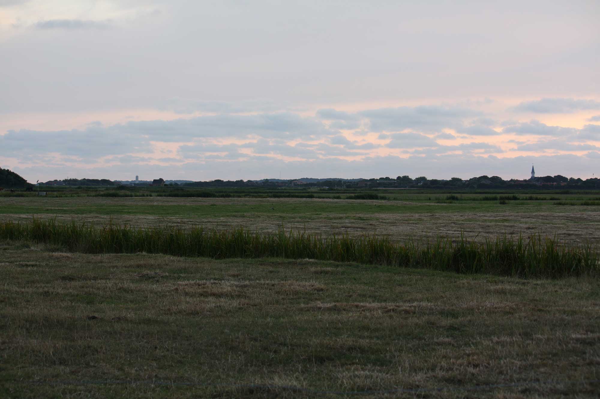 Polder Terschelling